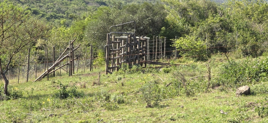 Commercial Property for Sale in Kwelera Eastern Cape